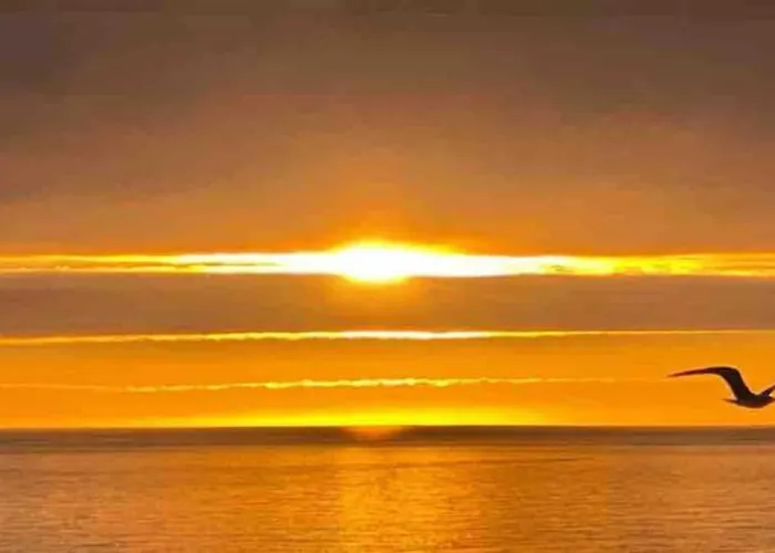 Vista Mar Piscina Lejlighed